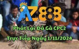 Phát Lại Đá Gà CPC2 Trực Tiếp Ngày 01/11/2024
