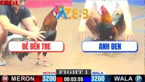 Trận 1 CPC1 12/4/2025 - Anh Bé Bến Tre Đụng idol Tính Ga King