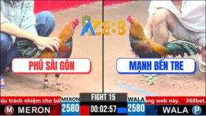 Trận 15 CPC3 4/4/2025 - Que Nghệ Anh Mạnh Bến Tre Đâm Cựa Như Chỉa