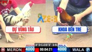 Trận 16 CPC2 13/4/2025 - Gà Bướm Anh Dự Vừa Đủ Điểm Hạ Gà Anh Khoa