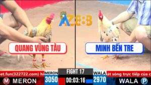 Trận 17 CPC3 4/4/2025 - Gà Cú Anh Quang Bú Nhẹ Bướm Má Minh Ngã Ngửa