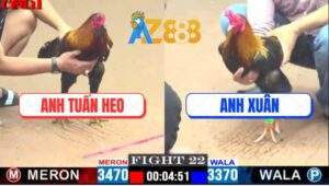 Trận 22 CPC1 12/4/2025 - Gà Que Anh Tuấn Heo Bú Cựa Như Cái Máy