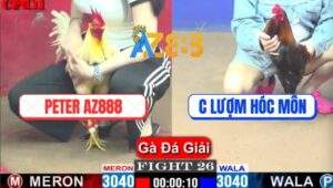 Trận 26 CPC1 10/4/2025 - Peter Xóm Gà AZ Gặp Chị Lượm Hóc Môn