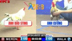 Trận 27 CPC2 11/4/2025 - Anh Cường Phục Thù Anh Bảo Sting Thành Công