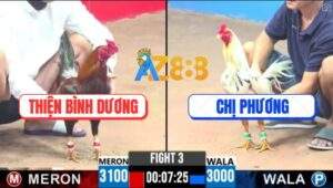 Trận 3 CPC3 12/4/2025 - Bướm Chị Phương Đá Đâm Như Máy Điên