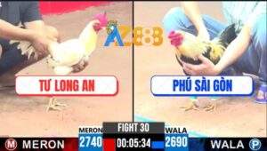 Trận 30 CPC3 9/4/2025 - Chuối Hiệu Anh Phú Sài Gòn Quá Mai Độ