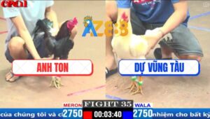 Trận 35 CPC1 3/4/2025 - Điều Xanh Anh Ton Đá Toàn Đâm Mu Lưng