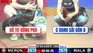 Trận 36 CPC1 10/4/2025 - Bà Tư Đông Pha Và Chị Oanh Sài Gòn A