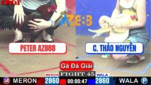 Trận 45 CPC1 10/4/2025 - Peter Xóm Gà AZ Gặp Chị Thảo Nguyên