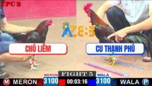 Trận 5 CPC2 13/4/2025 - Chú Liêm Bị Phản 5 Lai, Biện Kéo Nhau Ra Đảo