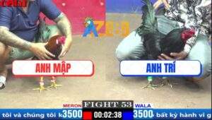 Trận 53 CPC1 3/4/2025 - Điều Anh Mập Có Chân Xạo Lờ Đá Gà Ô Tai Biến