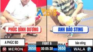 Trận 6 CPC3 1/4/2025 - Xổ 1 Tỷ Giữa Chú Phúc Và Anh Bảo Sting