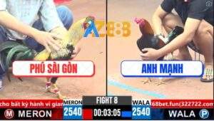 Trận 8 CPC3 4/4/2025 - Gà Anh Mạnh Canh Chặn Bẻ Giò Chuối Cọp Anh Phú