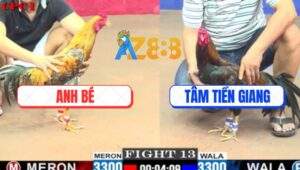 Trận 13 CPC1 20/5/2025 - Cú Tẻo Anh Bé Vô Được Mấy Chân Tốc Chạy