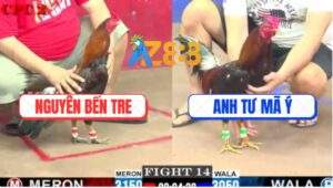 Trận 14 CPC2 23/5/2025 - Anh Nguyên Bến Tre Và Anh Tư Mã ý