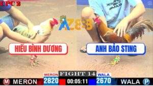 Trận 14 CPC2 4/5/2025 - Anh Hiếu Bình Dương Phục Thù Anh Bảo Sting