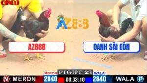 Trận 23 CPC1 8/5/2025 - Anh Oanh Dí Bạc Ăn 4 Trước Xóm Gà AZ Và Cái Khết