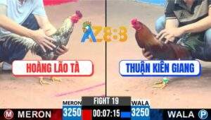 Trận 19 CPC3 30/5/2025 - Điều Anh Thuận Xử Đẹp Gà Cú Anh Hoàng Lão Tà