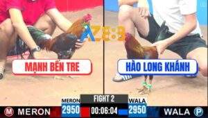 Trận 2 CPC3 2/5/2025 - Điều Anh Mạnh Đá 1 Cước Đưa Que Cọp Về Đồng Nai