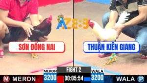 Trận 2 CPC3 30/5/2025 - Gà Úa Anh Thuận Đá 1 Hơi Điều Anh Sơn Nằm Đống