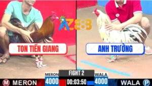 Trận 2 CPC3 31/5/2025 - Gà Khét Anh To Dẫn Tang Vô Trong Chạy La Lang