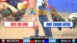 Trận 20 CPC1 29/5/2025 - Điều Anh Bửu Đâm Que Anh Thanh Hưng Tan Tành