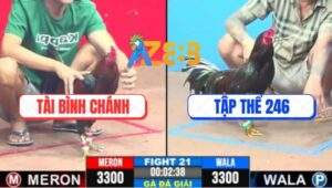 Trận 21 CPC3 31/5/2025 - ĐKVĐ Anh Tài Bình Chánh Gặp Tập Thể 246