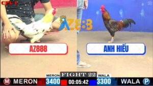 Trận 22 CPC1 27/5/2025 - Hai Con Cùng Ói, Gà Bướm Xóm Gà AZ Vừa Đủ Điểm Ăn