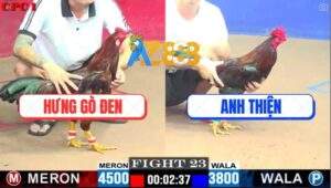 Trận 23 CPC1 22/5/2025 - Gà Anh Thiện Nhỏ Mà Chấp Ngông Và Cái Kết