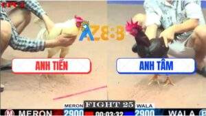 Trận 25 CPC1 27/5/2025 - Úa Chân Xanh Anh Tiền Hạ Điều Chỉ 1 Tay Nước