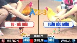 Trận 25 CPC3 25/5/2025 - Tập Đoàn Gà Thái Và Anh Tuấn Hóc Môn