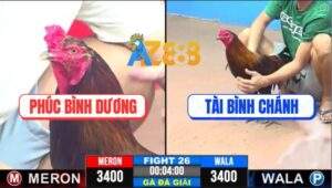 Trận 26 CPC3 31/5/2025 - Chú Phúc Bình Dương Gặp ĐKVĐ Tài Bình Chánh