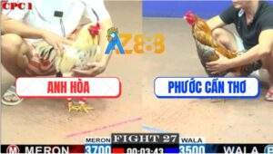 Trận 27 CPC1 27/5/2025 - Bướm Anh Hòa Đá 1 Hơi Đâm Gà Cú Chết Tươi