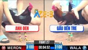 Trận 27 CPC3 25/5/2025 - Anh Tính Ga Kinh Nài Quá Khéo Hạ Gấu Bến Tre