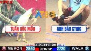 Trận 29 CPC2 9/5/2025 - Anh Bảo Sting Hạ Anh Tuấn Hóc Môn Nhanh Gọn