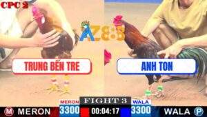 Trận 3 CPC2 2/5/2025 - Gà Anh Ton Phóng Bạc Ăn 5 Bị Đá Nằm Đếm Sao