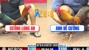 Trận 33 CPC1 20/5/2025 - Khét Chân Xanh Anh Bé Cường Đâm Như Sơ Mít