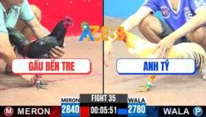 Trận 35 CPC3 14/5/2025 - Que Chân Chì Anh Gấu Bến Tre Ra Cựa Quá Hiểm