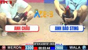 Trận 35 CPC2 9/5/2025 - Ông Hoàng Wala Chấp 5 Chấm 1 Đá Lấy Kém