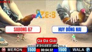 Trận 46 CPC1 26/5/2025 - SaBong 67 Và Anh Hu Đồng Nai