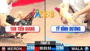 Trận 8 CPC3 7/5/2025 - Úa Anh Tý Canh Chặn Đá Bông Anh Ton Nằm 1 Đống