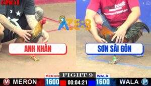 Trận 9 CPC1 19/5/2025 - Xám Cú Anh Khàn Tiễn Gà Điều Anh Sơn Lên Đường