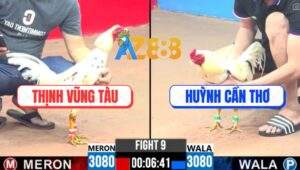 Trận 9 CPC3 18/5/2025 - Anh Thịnh Vũng Tàu Và Anh Huỳnh Cần Thơ