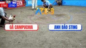 Trận 17 Anh Bảo Sting Và Campuchia - Bướm Hiệu Idol Thất Thủ