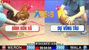 Trận 13 CPC1 5/6/2025 - Gà Khét Anh Bình 4 Xã Hạ Đẹp Gà Khét Anh Dự