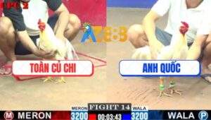 Trận 14 CPC2 4/6/2025 - Bướm Anh Toàn Củ Chi Đâm Đối Thủ Bắn Tóc Gáy