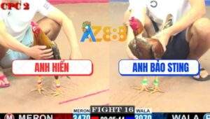 Trận 16 CPC2 6/6/2025 - Khét Phá Hình Anh Bảo Sting Bị Đâm Như Cái Rổ