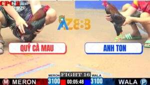 Trận 16 CPC2 8/6/2025 - Điều Anh Ton Đá Được Mấy Chân Chạy Kêu Miệng