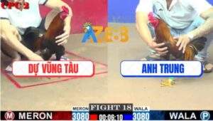 Trận 18 CPC2 4/6/2025 - Điều Chân Xanh Anh Dự Đâm Như Máy Khâu