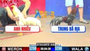 Trận 19 CPC2 8/6/2025 - Điều Bông Anh Trung Có Chân Cứu Chủ Phút 90